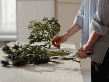 德國包裝法注冊(cè)全流程：2025年新指南