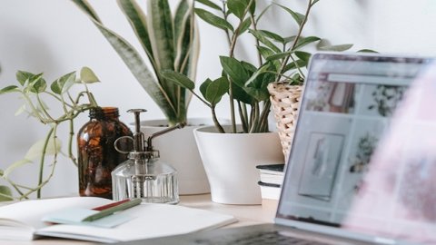 土耳其授權(quán)代表是什么？了解土耳其市場(chǎng)合規(guī)要求