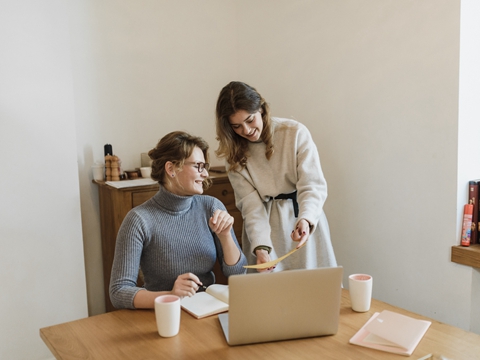 中國新能源企業(yè)赴美建廠：突破限制與獲取補(bǔ)貼的策略分析