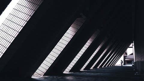 Temu電商平臺日銷量波動優(yōu)化策略分析